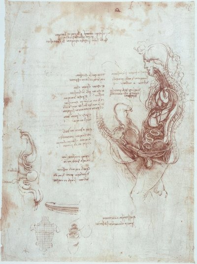 Anatomische studies: coïtuspositie in lengtedoorsnede door Leonardo da Vinci